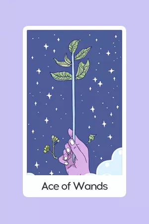 Ace of Wands tarot card